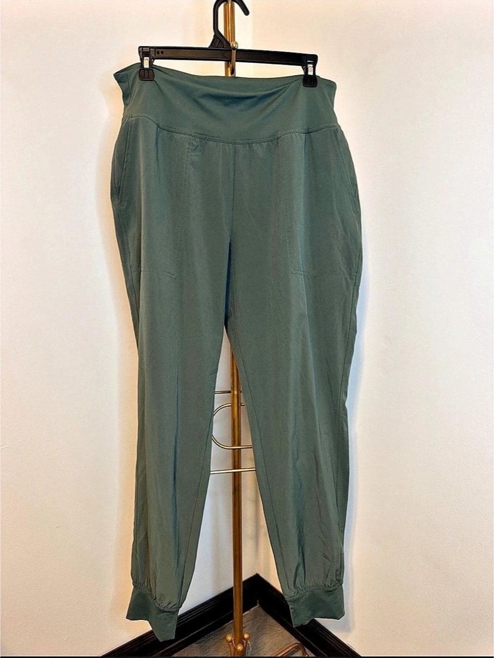 DSG Women's Jogger Pants in Green Size Large